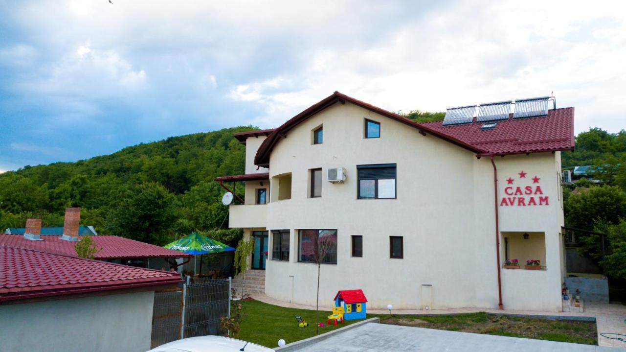 Râmnicu Vâlcea Casa Avram 빌라 외부 사진